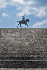 Low angle view of a horse