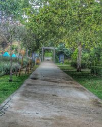 Footpath amidst trees in park