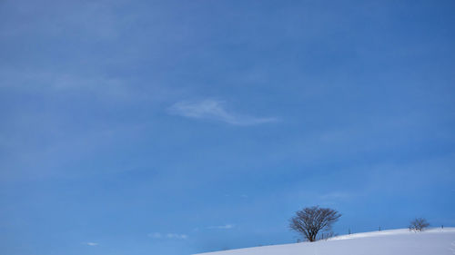 Low angle view of vapor trail in sky