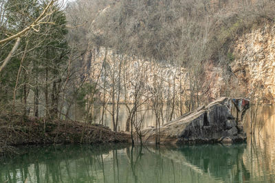 View of a lake in a forest
