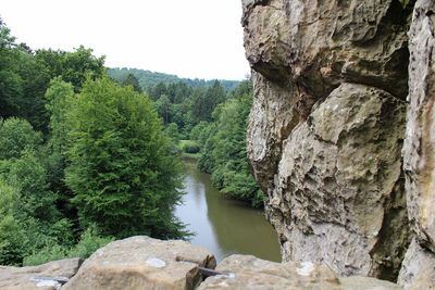 Scenic view of river amidst trees against sky