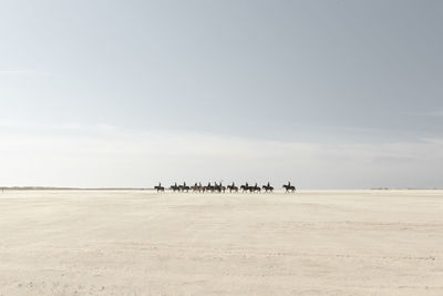 Riders on the beach