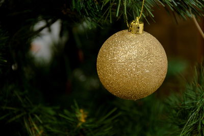Close-up of christmas decoration hanging on tree