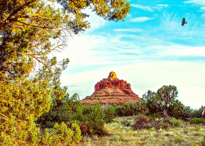 Rock formations on landscape against sky