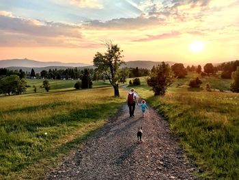 Rear view of man on field against sky during sunset