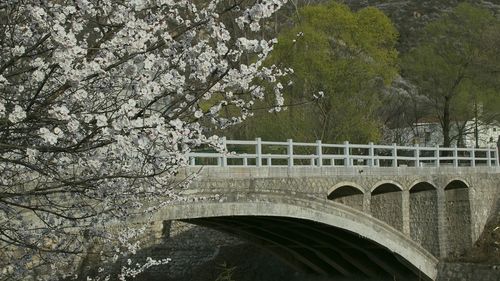 Bridge with trees in background