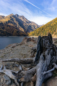 Scenic view of landscape and mountains against sky