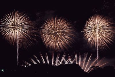 Low angle view of firework display at night