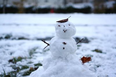 Close-up of white flower on snow covered field