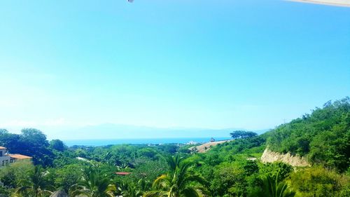 Scenic view of green landscape against clear blue sky