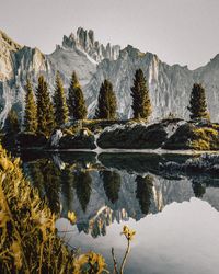 Scenic view of lake by trees against sky