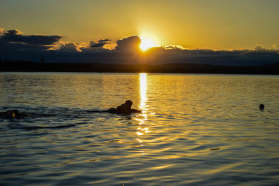 Scenic view of sunset over sea