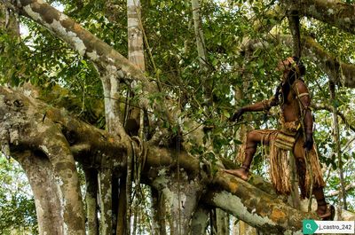 Low angle view of statue against trees in forest