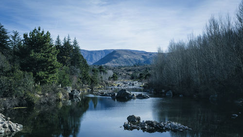 Scenic view of lake by trees against sky