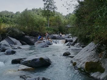 River flowing through forest