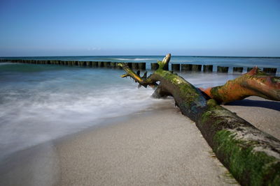 Scenic view of sea against clear sky