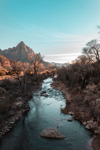 Scenic view of river amidst trees against sky