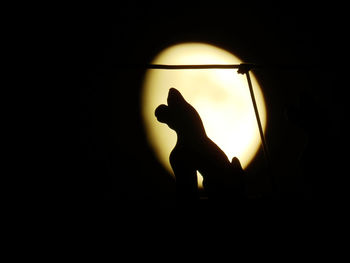 Close-up of silhouette against black background