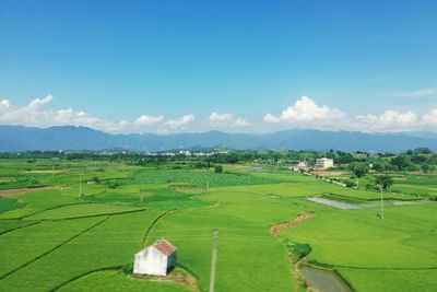 Scenic view of agricultural field against sky