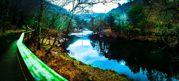 Scenic view of lake in forest