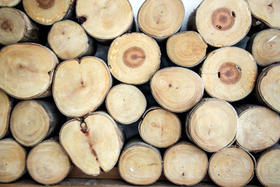 Full frame shot of logs in forest