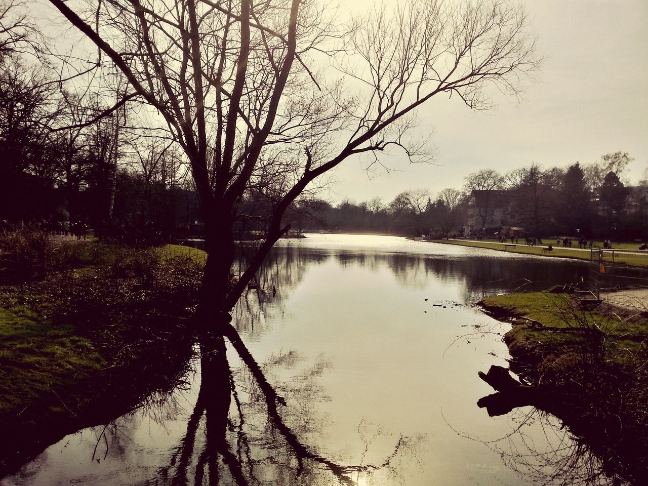 water, tree, tranquility, reflection, tranquil scene, lake, bare tree, scenics, branch, nature, beauty in nature, tree trunk, silhouette, sky, idyllic, river, standing water, lakeshore, non-urban scene, growth