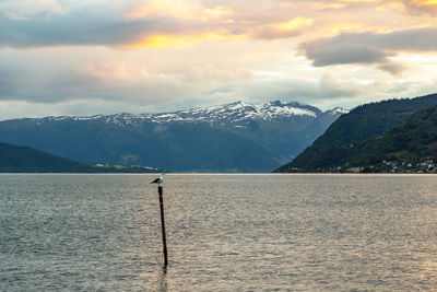 Norway landscapes. beautiful mountainous landscape around norwegian fjord at evening.