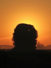 Silhouette of trees at sunset