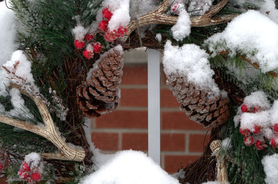 Close-up of christmas tree in snow