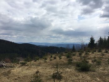 Scenic view of landscape against sky