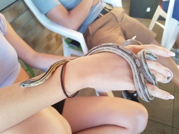 Midsection of woman holding snake