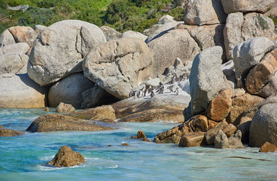 Rocks in sea