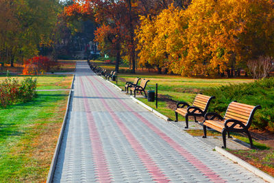 Sidewalk in the autumn park . pavement in the fall season