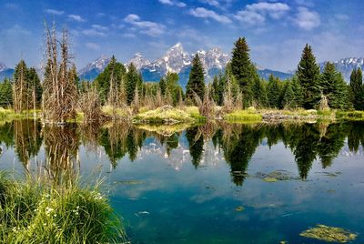 Reflection of trees in lake against sky