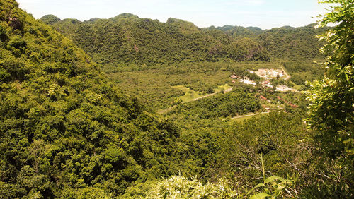 Scenic view of tree mountains