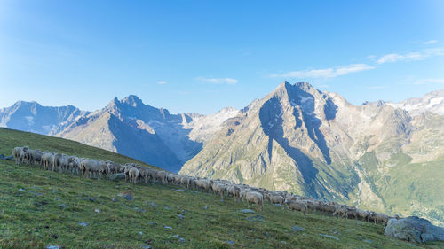 Panoramic view of mountains against blue sky