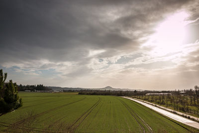 Scenic view of agricultural field against sky