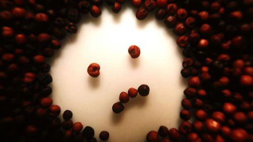 Close-up of red berries