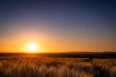 Scenic view of field against sky during sunset