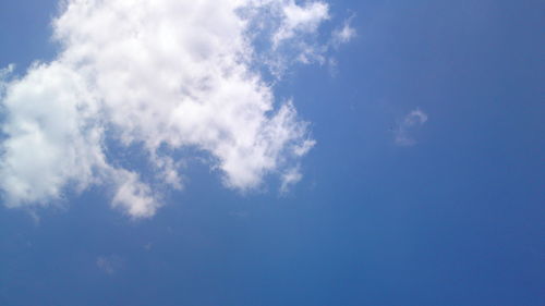 Low angle view of trees against blue sky