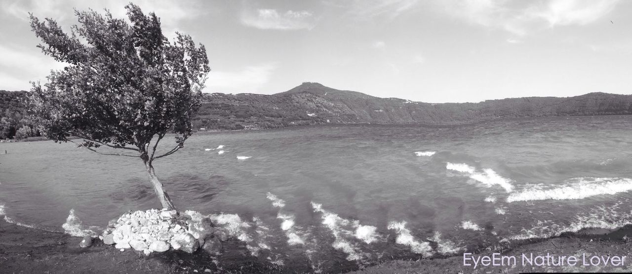 water, tree, tranquility, tranquil scene, sky, lake, scenics, mountain, beauty in nature, nature, reflection, river, cloud - sky, waterfront, idyllic, day, outdoors, non-urban scene, high angle view, no people