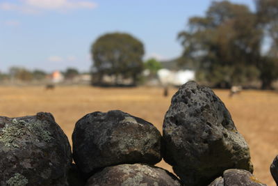 Close-up of rocks on land against sky