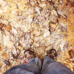 Low section of man standing on rock