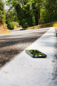 Surface level of road amidst trees in city