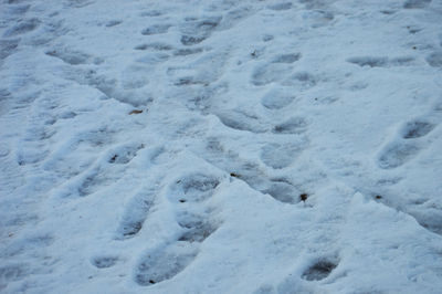 Close-up of snow