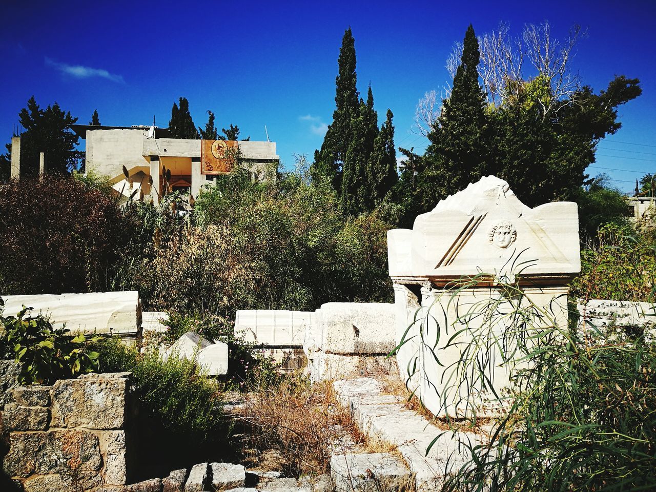 BUILT STRUCTURE AGAINST TREES AND PLANTS