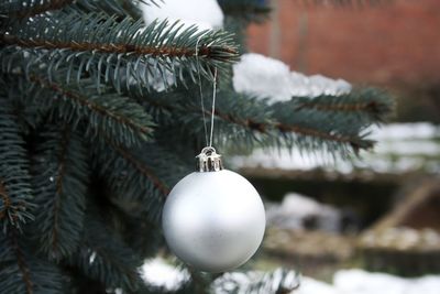 Close-up of christmas tree during winter