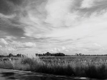 Scenic view of landscape against cloudy sky