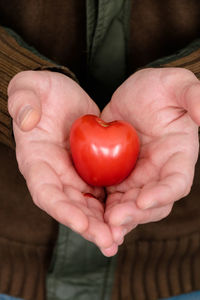 Midsection of person holding heart shape