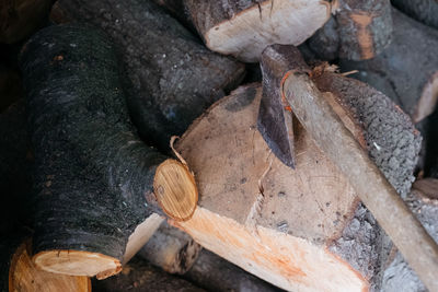 Close-up of firewood